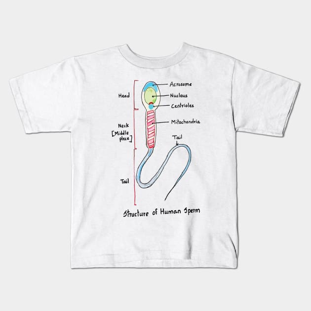 Human Sperm Colourful Cute Accurate Kids T-Shirt by labstud